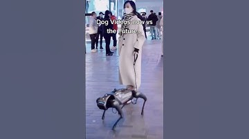 Will AI take dogs from us too? 🥹😭 #shorts #robot #ai #dogs #motivation #money