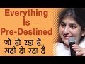 Everything Is Pre-Destined: Ep 22: BK Shivani (Hindi)