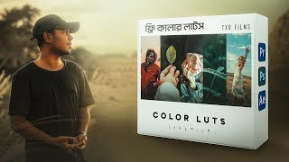 Best Cinematic LUTs 2024