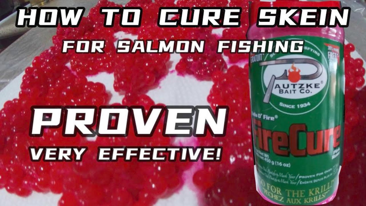 HOW TO CURE SKEIN FOR SALMON FISHING #salmonfishing #salmonrun  #skeinfishing 