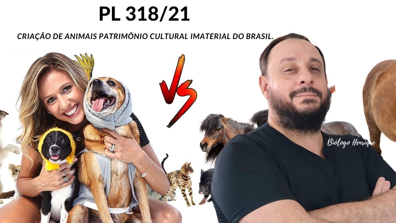 PL da criação de animais Patrimônio Cultural Imaterial do Brasil.