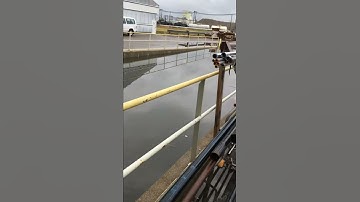 “Full” Loading Dock