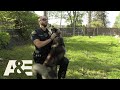 Cop rescues dog then adopts it