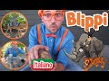 Blippi visita lo zoo di Phoenix  | Blippi in Italiano | Video educativi per bambini