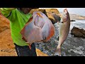 MIRA!.. Pescamos PECES Extraños - Pesca Variada con Carnada viva