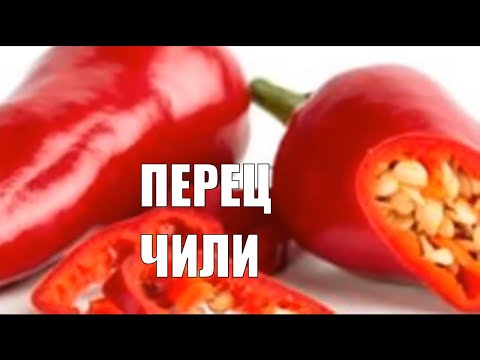 Перец Чили чем полезен для здоровья перец чили