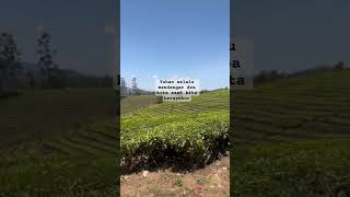 Download Lagu Apapun yang terjadi, seberat apapun  masalah kita, intinya harus bersyukur !! MP3