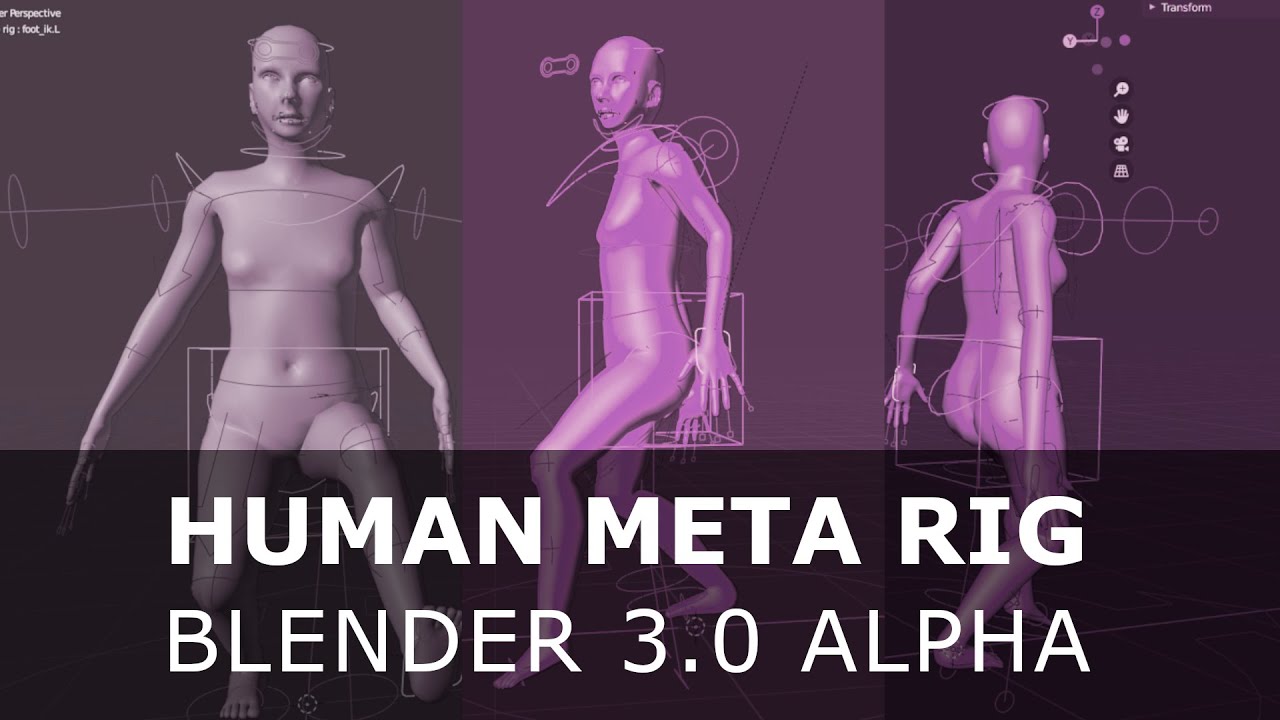 0 human. Blender Human Rig. Metahuman Rig блендер. МЕТА Хьюмен. Rigging Human.