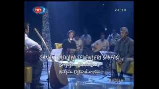 Ayrılık Hasreti ( Seher Yeli ) - Canan  Başkaya Resimi