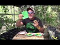 Blind avocado taste test