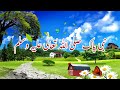 Huzoor ﷺ aur aik Bachahy ka waqiya___Ajmal Raza Qadri #shorts #whatsappstatus