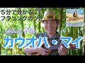 ♪Kauoha Mai（カウオハ・マイ）【サクッと解説！ハワイアンソング#12】