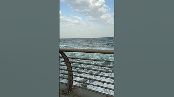 #اكسبلور #لايك #قران_كريم #اللهم_صل_وسلم_على_نبينا_محمد #تلاوة_خاشعة #راحة_نفسية #ترند