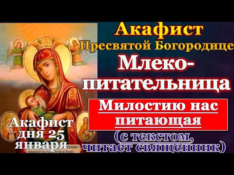 Акафист Пресвятей Богородице