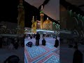 واشهد ان عليا من أياته عجبا ياعلـي علوية الساده واشهد ان عليا من أياته عجبا ياعلـي علوية الساده