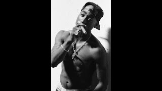 2Pac - Thug Style (Candy Shop Remix)