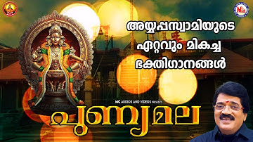 പുണ്യമല | Punyamala | Ayyappa Devotional Song | Hindu Bhakthiganam | M G Sreekumar