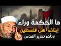 الشعراوي الحكمة وراء ابتلاء أهل فلسطين حكمة لا يراها إلا الصابرون