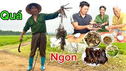 Ngon Nhức Nách Với Món Chuột Nấu Giả Cày Ngày Mưa Gió | Bẫy Chuột Trong Ao Sen Siêu To | HUY ANH TV