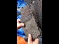 Iko shingles disintegrate