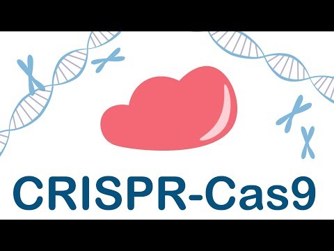 What is CRISPR-Cas9?