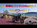 悪魔のゴリラ250㏄遂に完成♪　そのパワーと速さは如何ほどなのか！？
