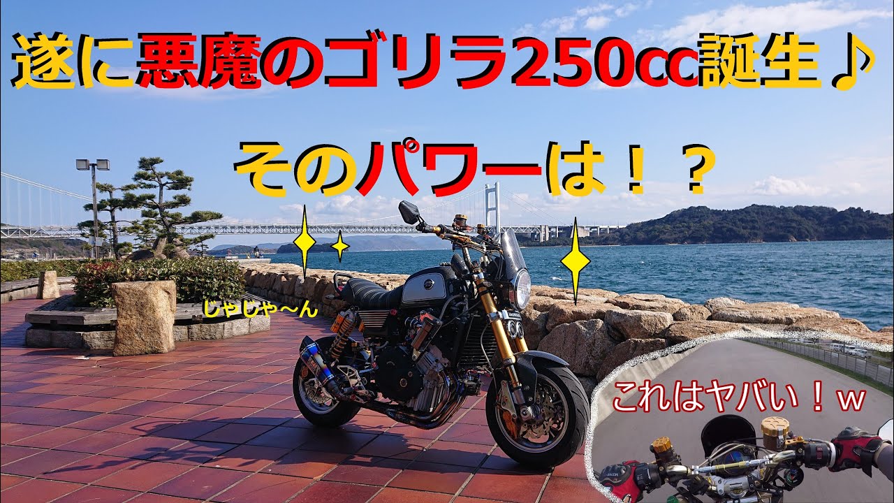 ゴリラ とバイク250交換しましょう 投稿詳細｜MOTOCLE