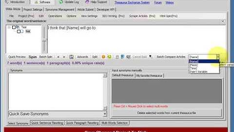SpinnerChief Tutorial   Insert Synonyms From CSV Files