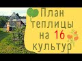 16 культур и не тесно! План высадки овощей в теплицу, уплотненные посадки