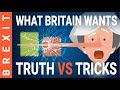 Brexit: What Britain Wants, with Stephen Fry
