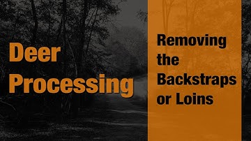 Removing the Backstraps or Loins- Episode 6 of 15