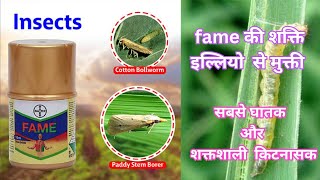 Fame bayer |Insecticide| flubendiamide 39.35%SC | agriculture farming youtubevideos