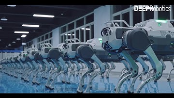 Deep Robotics Mass Production Of Robot Dogs