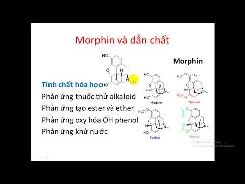 Bài Giảng Hóa Dược 2 : THUỐC GIẢM ĐAU OPIOID -GV THẦY SƠN