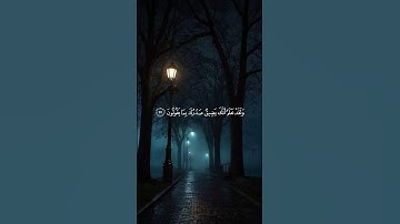 سبحان الله #كرومات_قرآن #ليطمئن_قلبك #قران_شاشة_سوداء #قرآن #قرآن_كريم #آيات #قران #عبدالرحمن_مسعد