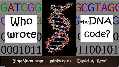 Who Wrote the DNA Code?