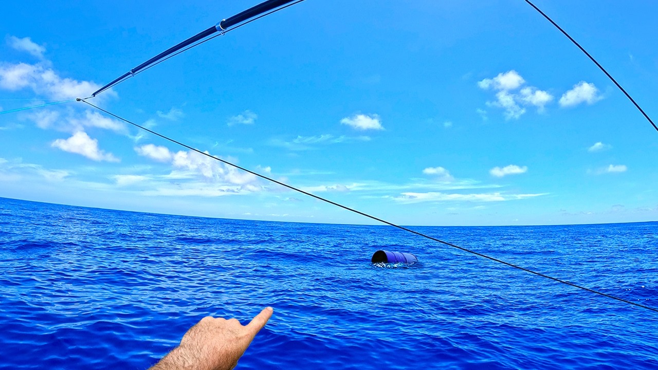 We found a FLOATING DRUM 65kms offshore in 700m of water! Fish Everywhere!