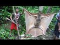 GIANT BAT OR SOMETHING ELSE?