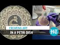 Award-winning art in a petri dish