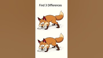 Find the differences 🦊