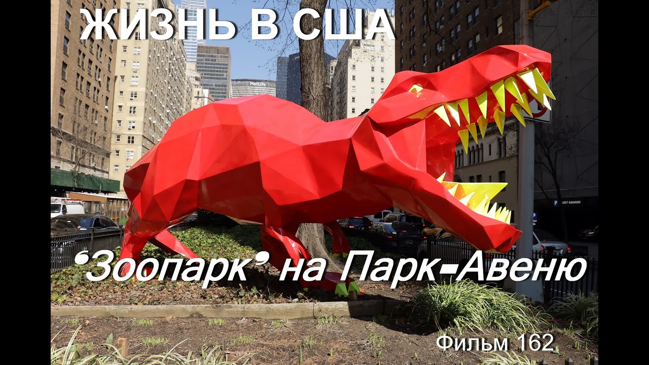 ЖИЗНЬ В США ‘Зоопарк’ на Парк Авеню Фильм 162