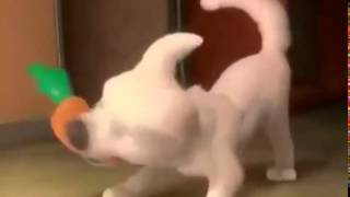 Disney Channel Bumper Bolt 1