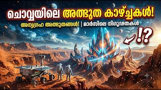 IMG 6198