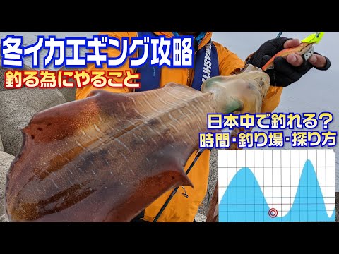 冬イカは日本中釣れる 初心者 全アングラー必見確実に釣る為のエギング講座 釣り動画 冬イカは日本中釣れる 初心者 全アングラー必見確実に釣る為のエギング講座 釣り動画