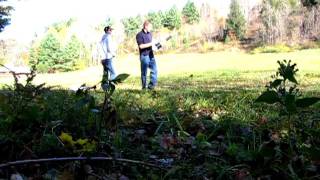 Shootin Apples And Leaves