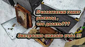 Белорусское Пчеловодство Bee&Ivtodi