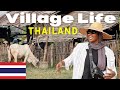 Village life in thailand farming and cooking thai food   
