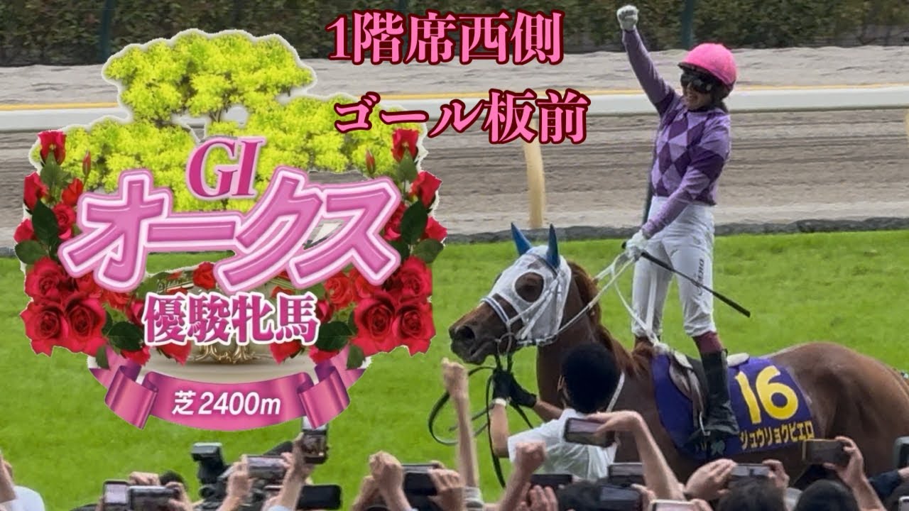1階席西側ゴール板前】 第87回 オークス（G1） - YouTube