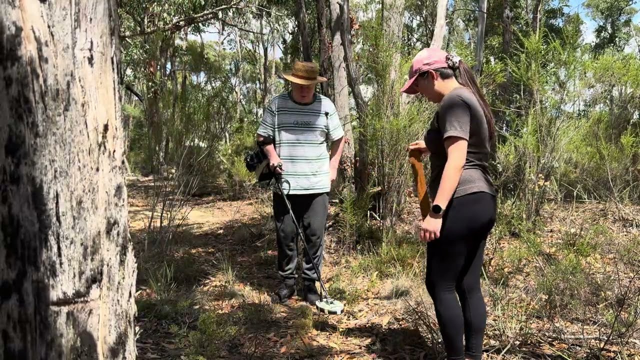 Модифицированный детектором GPX-5000 от компании Detectormods в Балларате: что лучше?