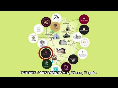 Vinarija Aleksandrovic -